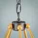 Alvar 5 Light 11 inch Black With Gold Inside Chandelier Ceiling Light
