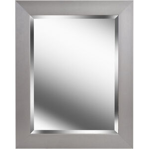 Drake 29 X 23 inch Brushed Steel Wall Mirror