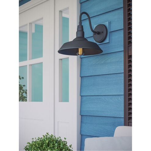 Dale 1 Light 11 inch Black Outdoor Wall Light, Large