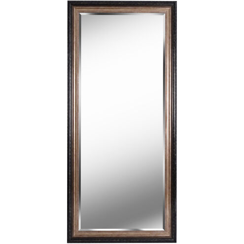 Lyonesse 66 X 30 inch Chrome Floor Mirror, Tall