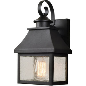 Nelson 1 Light 8 inch Sandy Black With Gold Highlights Outdoor Wall Lantern, Small