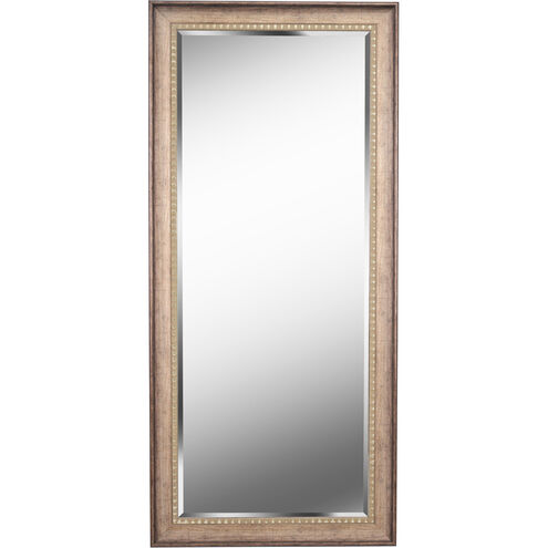 Amiens 66 X 30 inch Antiqued Gold Floor Mirror
