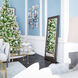 Amiens 66 X 30 inch Bronze With Gold Highlight Floor Mirror