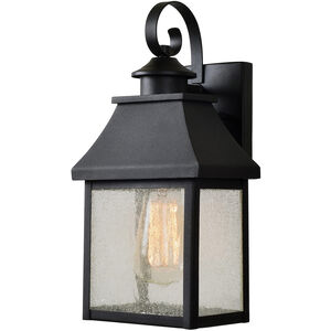Nelson 1 Light 11 inch Sandy Black With Gold Highlight Outdoor Wall Lantern, Medium